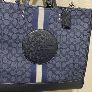 Beautiful Coach Bag + small organizer